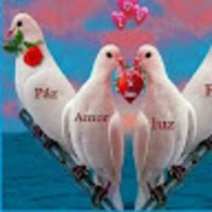 Meet your Posher, Alma